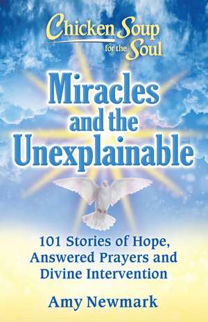 Chicken Soup for the Soul: Miracles and the Unexplainable: 101 Stories of Hope, Answered Prayers, and Divine Intervention de Amy Newmark