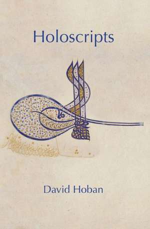 Holoscripts de David Hoban