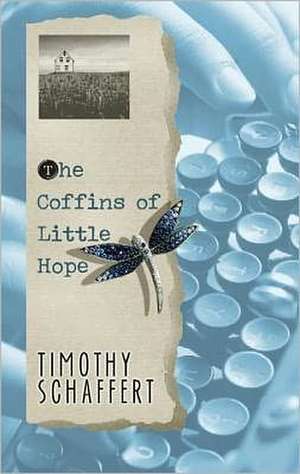 The Coffins of Little Hope de Timothy Schaffert