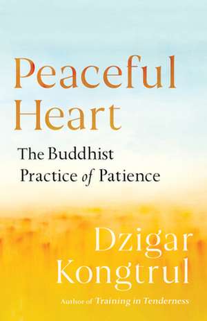 Peaceful Heart: The Buddhist Practice of Patience de Dzigar Kongtrul