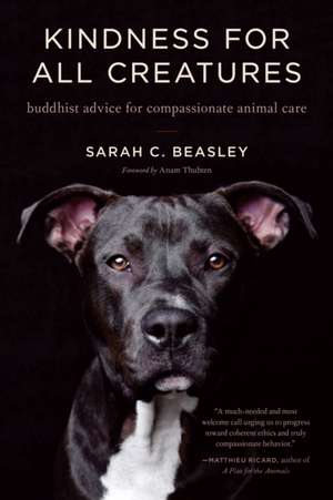 Kindness for All Creatures de Sarah C Beasley