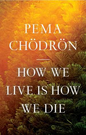 How We Live Is How We Die de Pema Chodron