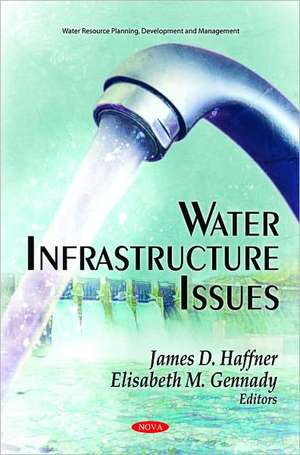 Water Infrastructure Issues de James D. Haffner