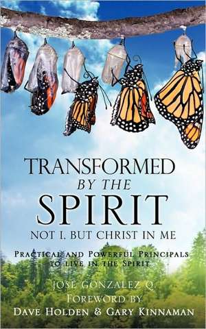 Transformed by the Spirit de Jose Gonzalez Q.