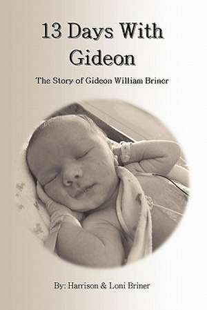 13 Days with Gideon de Harrison Briner