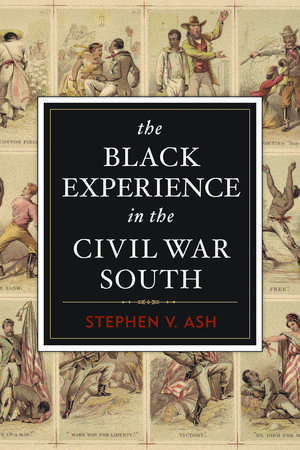 The Black Experience in the Civil War South de Stephen V. Ash