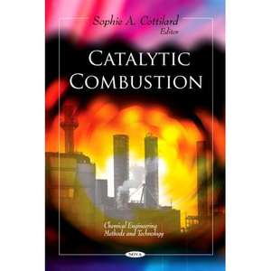 Catalytic Combustion de Sophie A. Cottilard