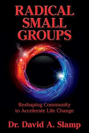 Radical Small Groups de Dr David Slamp