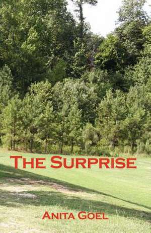 The Surprise de Anita Goel