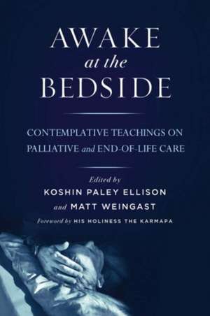 Awake at the Bedside: Contemplative Teachings on Palliative and End-Of-Life Care de Karmapa