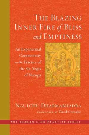 The Blazing Inner Fire of Bliss and Emptiness de David Gonsalez