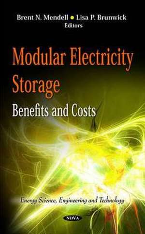 Modular Electricity Storage de Brent N Mendell