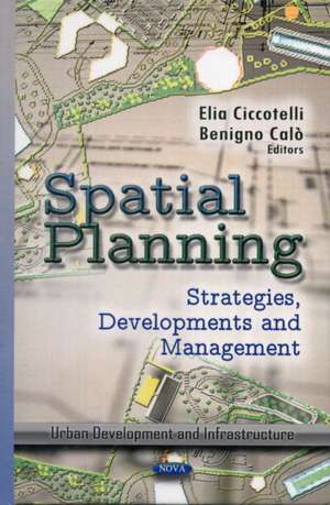 Spatial Planning de Elia Ciccotelli