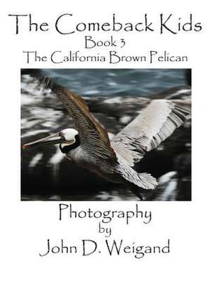 The Comeback Kids, Book 3, the California Brown Pelican de Penelope Dyan