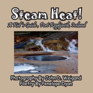 Steam Heat! A Kid's Guide, Port Reykjavik, Iceland de Penelope Dyan