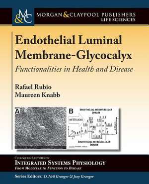 Endothelial Luminal Membrane-Glycocalyx de Rafael Rubio