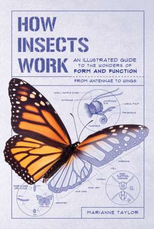 How Insects Work de Marianne Taylor