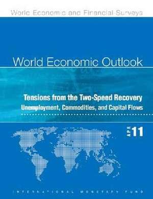 World Economic Outlook, April 2011 de International Monetary Fund