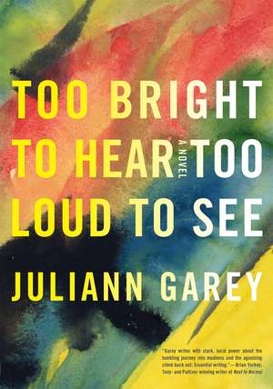 Too Bright To Hear Too Loud To See de Juliann Garey