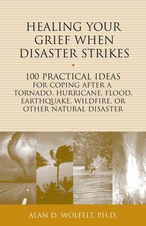 Healing Your Grief When Disaster Strikes: 100 Practical Ideas for Coping After a Tornado, Hurricane, Flood, Earthquake, Wildfire, or Other Natural Dis de Alan D. Wolfelt