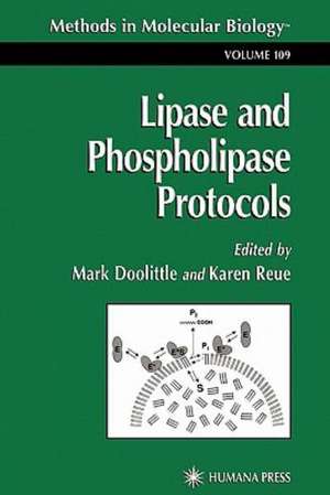 Lipase and Phospholipase Protocols de Mark Doolittle