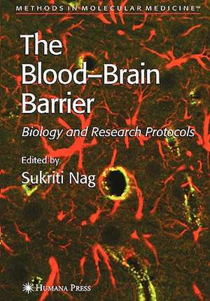 Blood'Brain Barrier: Biology and Research Protocols de Sukriti Nag