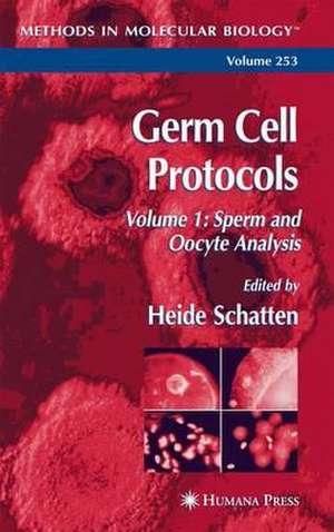 Germ Cell Protocols: Volume 1: Sperm and Oocyte Analysis de Heide Schatten