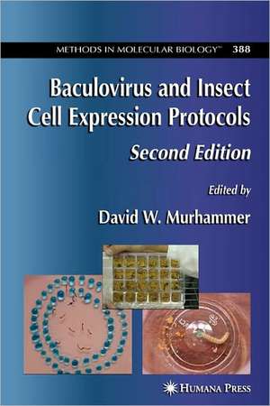 Baculovirus and Insect Cell Expression Protocols de David W. Murhammer