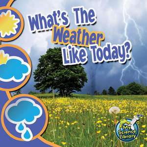 What's the Weather Like Today? de Conrad J. Storad