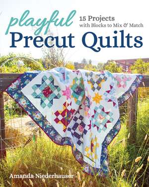 Playful Precut Quilts de Amanda Niederhauser