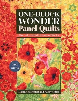 One-Block Wonder Panel Quilts de Maxine Rosenthal