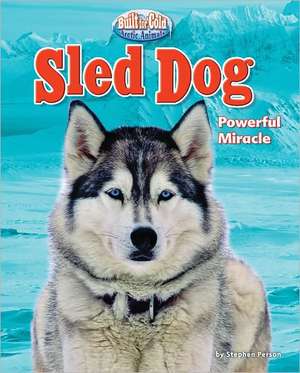 Sled Dog: Powerful Miracle de Stephen Person