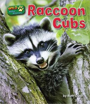 Raccoon Cubs de Ruth Owen