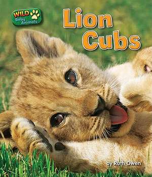 Lion Cubs de Ruth Owen