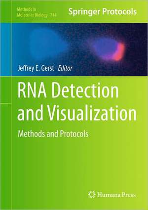 RNA Detection and Visualization: Methods and Protocols de Jeffrey E. Gerst