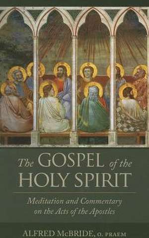 The Gospel of the Holy Spirit de Alfred McBride