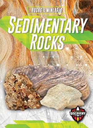 Sedimentary Rocks de Jennifer Fretland VanVoorst