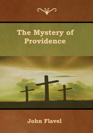 The Mystery of Providence de John Flavel