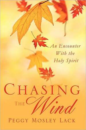 Chasing the Wind: A Healthcare Chaplain's Perspective de Peggy Mosley Lack