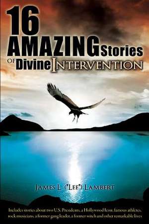 16 Amazing Stories of Divine Intervention de James L. Lambert