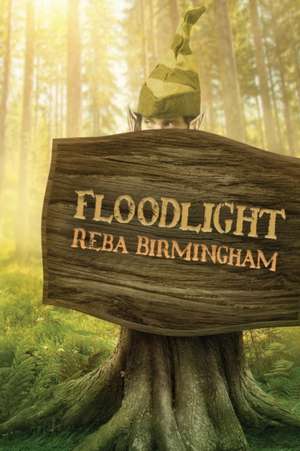 Floodlight de Reba Birmingham