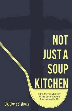 Not Just a Soup Kitchen de David Apple