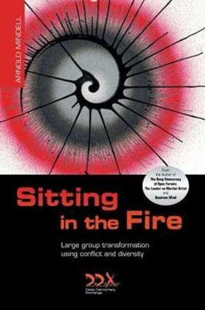 Sitting in the Fire: Large Group Transformation Using Conflict and Diversity de Arnold Mindell