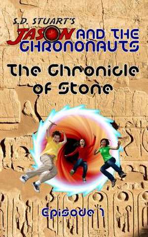 The Chronicle of Stone de Steve Dewinter