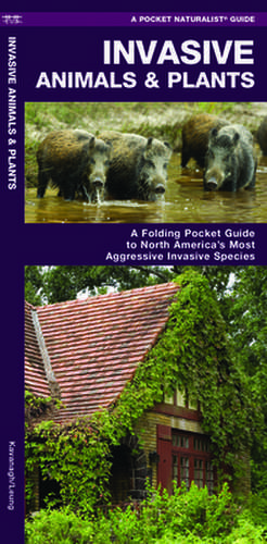Invasive Animals & Plants de James Kavanagh