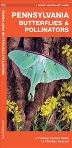 Pennsylvania Butterflies & Pollinators: A Folding Pocket Guide to Familiar Species de James Kavanagh