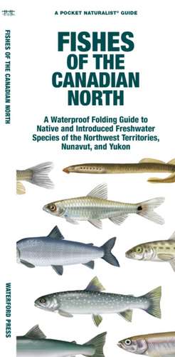 Fishes of the Canadian North de Matthew Morris