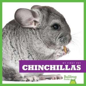 Chinchillas de Vanessa Black