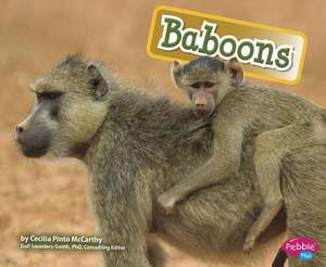 Baboons de Cecilia Pinto McCarthy