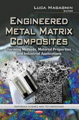 Engineered Metal Matrix Composites de Luca Magagnin